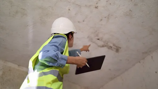 Constat de malfaçon après travaux à Pau, Pau, Pierre Brunet
